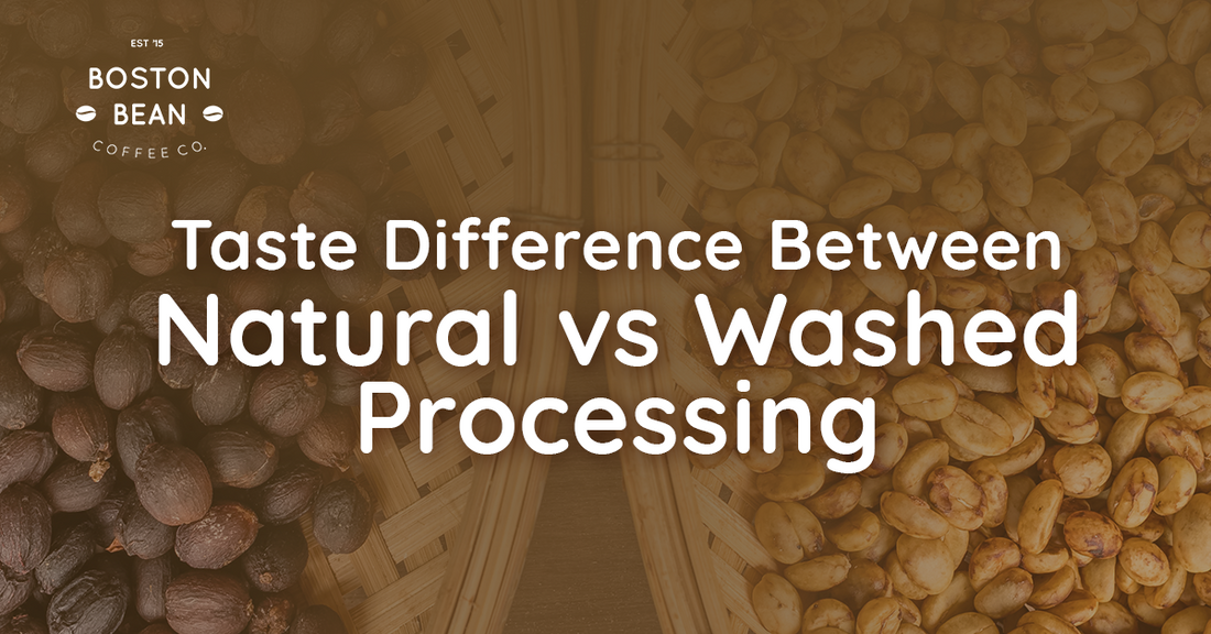 Tasting the difference between natural and washed coffee