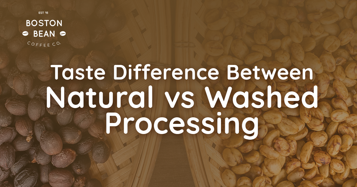 Tasting the difference between natural and washed coffee