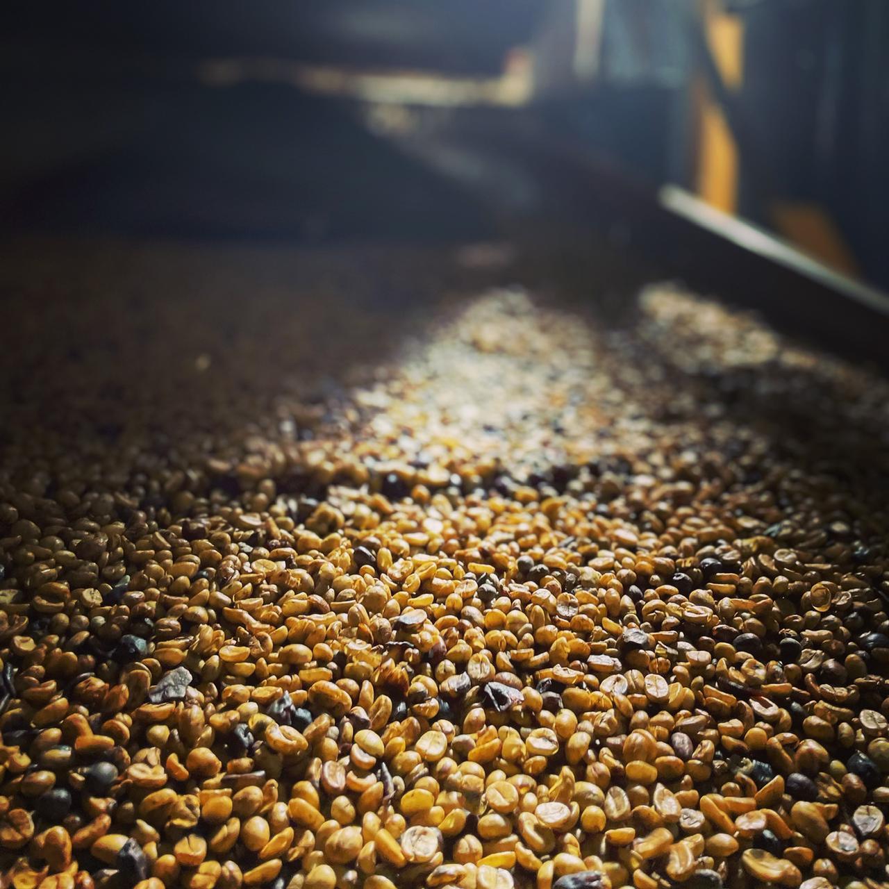 Brazil - Rafael Vinhal - Natural Anaerobic Fermentation - SINGLE ORIGIN