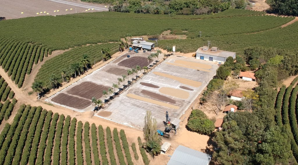 Brazil - Rafael Vinhal - Natural Anaerobic Fermentation - SINGLE ORIGIN