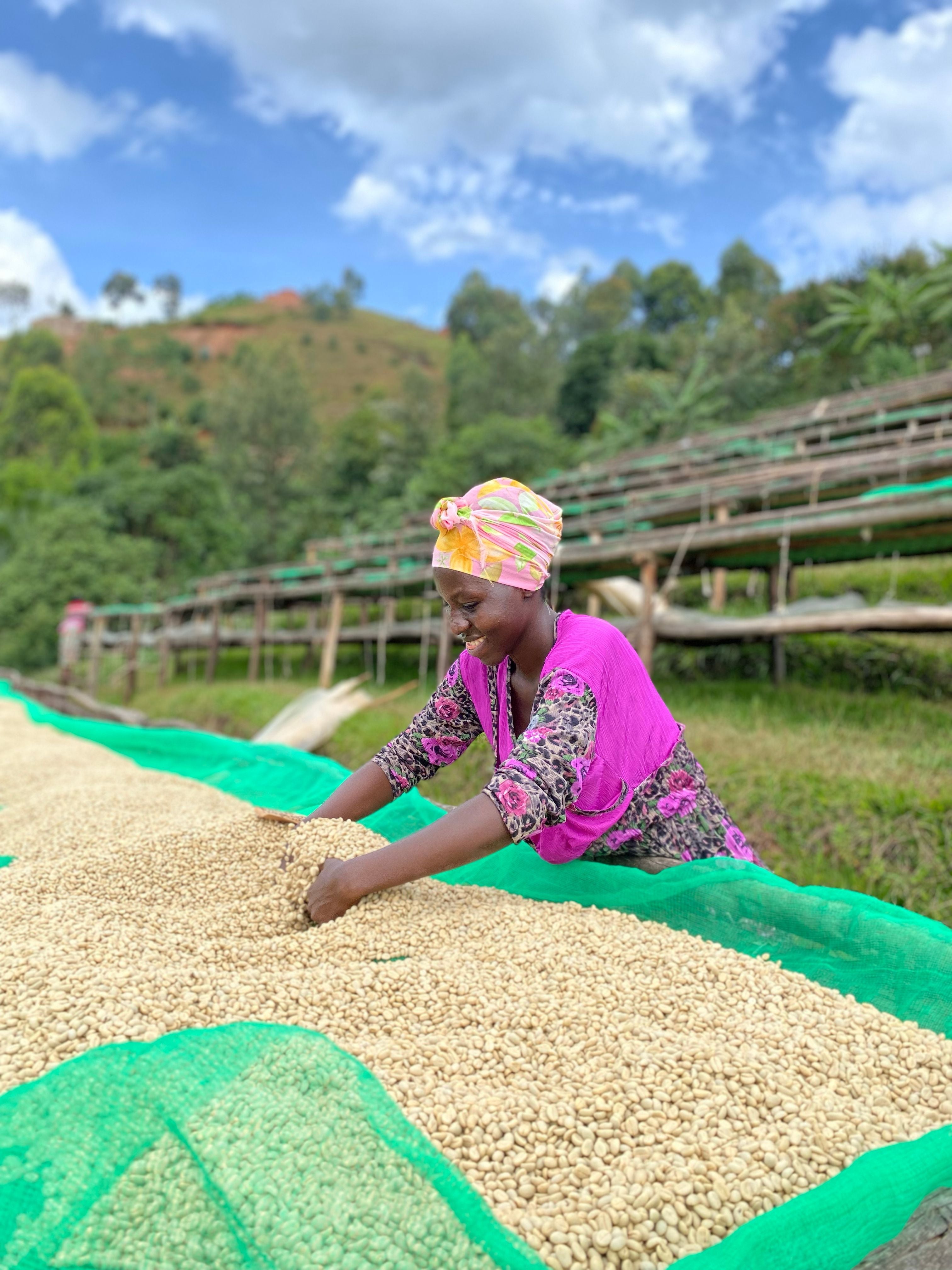 Burundi Kayanza Ruvumu - washed - SINGLE ORIGIN