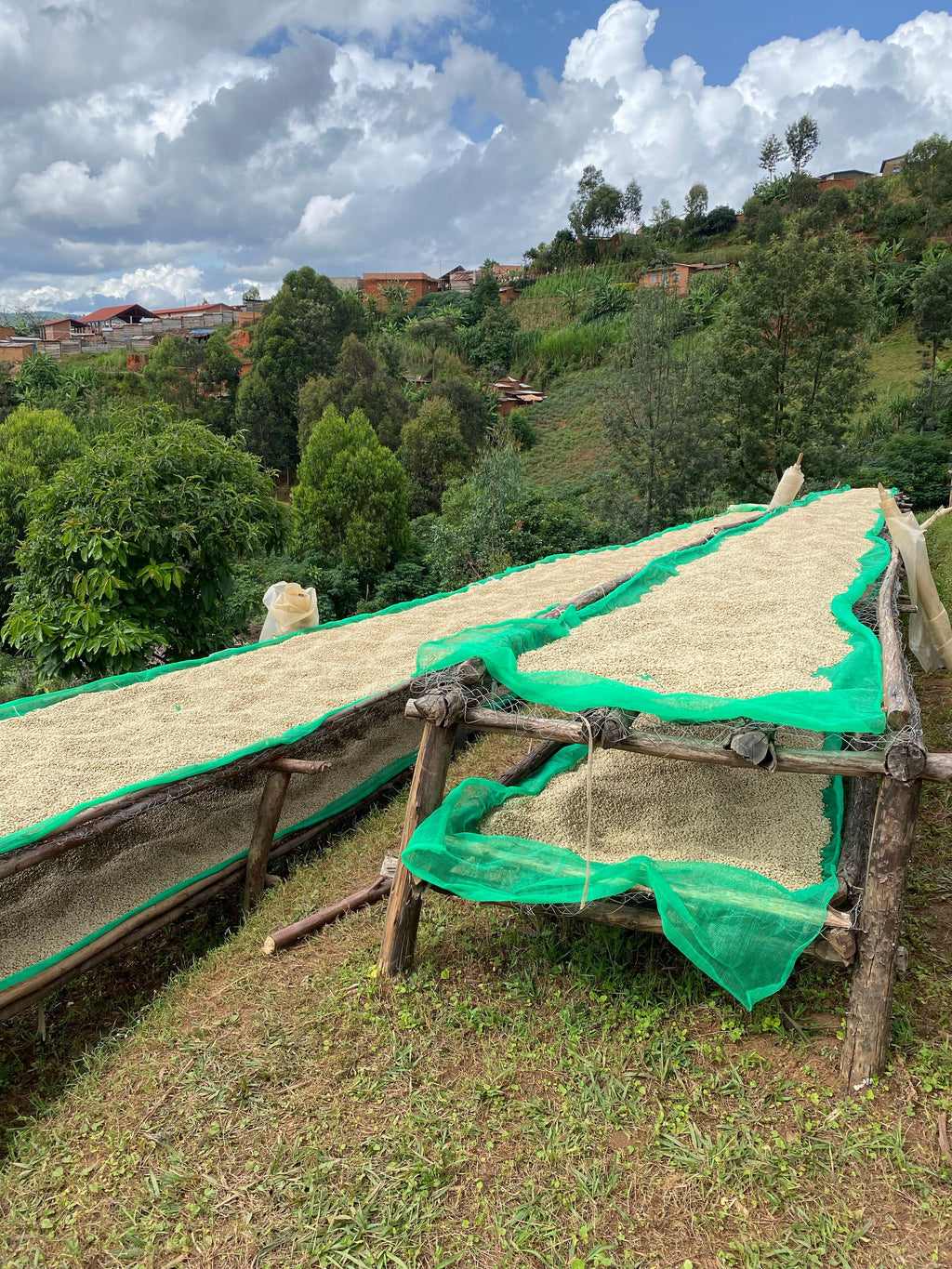 Burundi Kayanza Ruvumu - washed - SINGLE ORIGIN