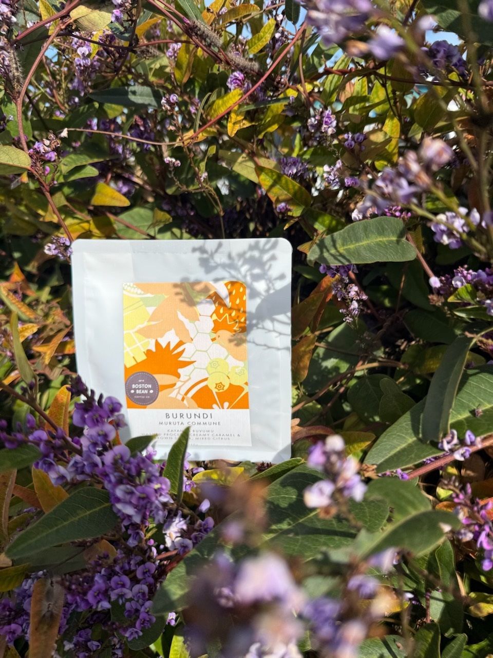 Burundi Kayanza Ruvumu - washed - SINGLE ORIGIN