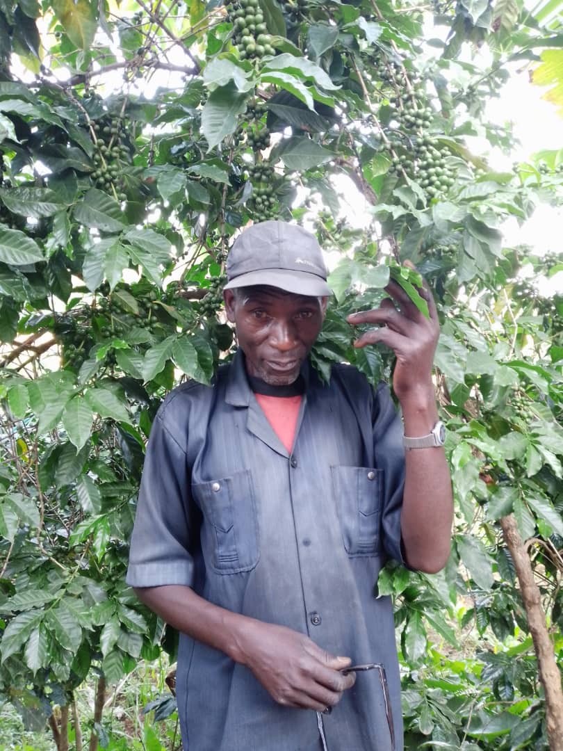 Burundi Kayanza Ruvumu - washed - SINGLE ORIGIN