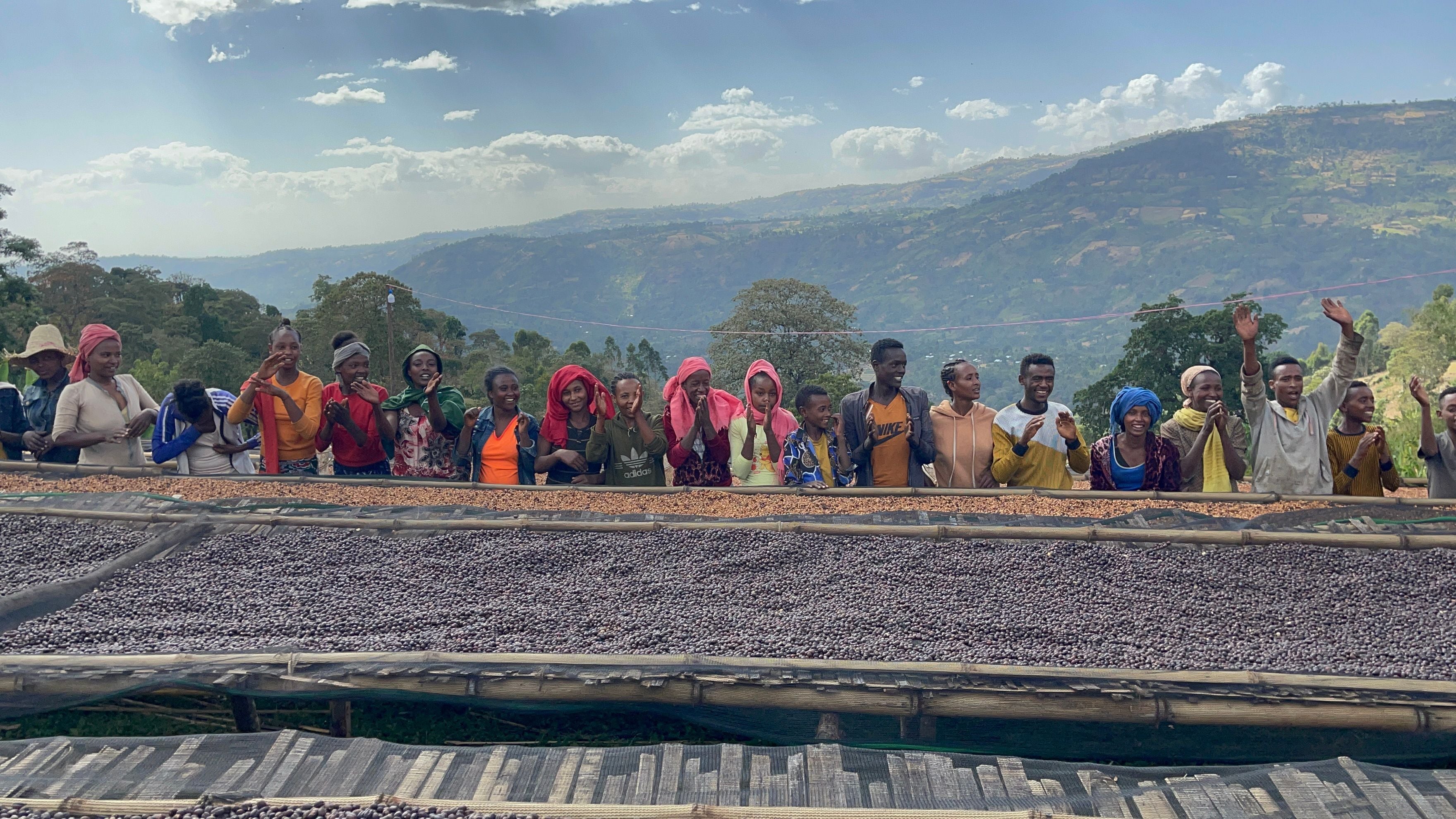 Ethiopia - Yirgacheffe Tulisi - Anaerobic Natural Process - SINGLE ORIGIN