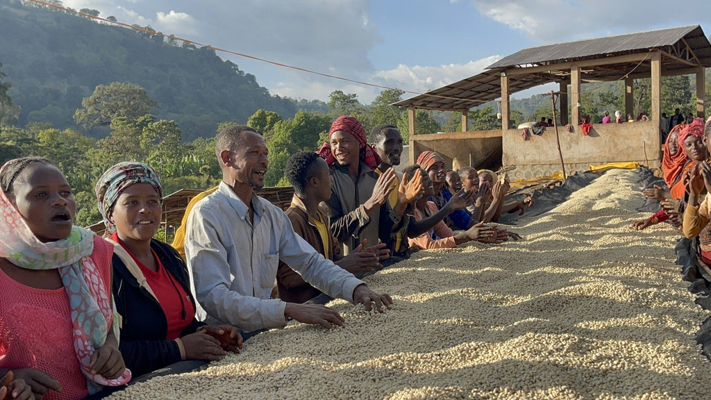 Ethiopia - Yirgacheffe Tulisi - Anaerobic Natural Process - SINGLE ORIGIN