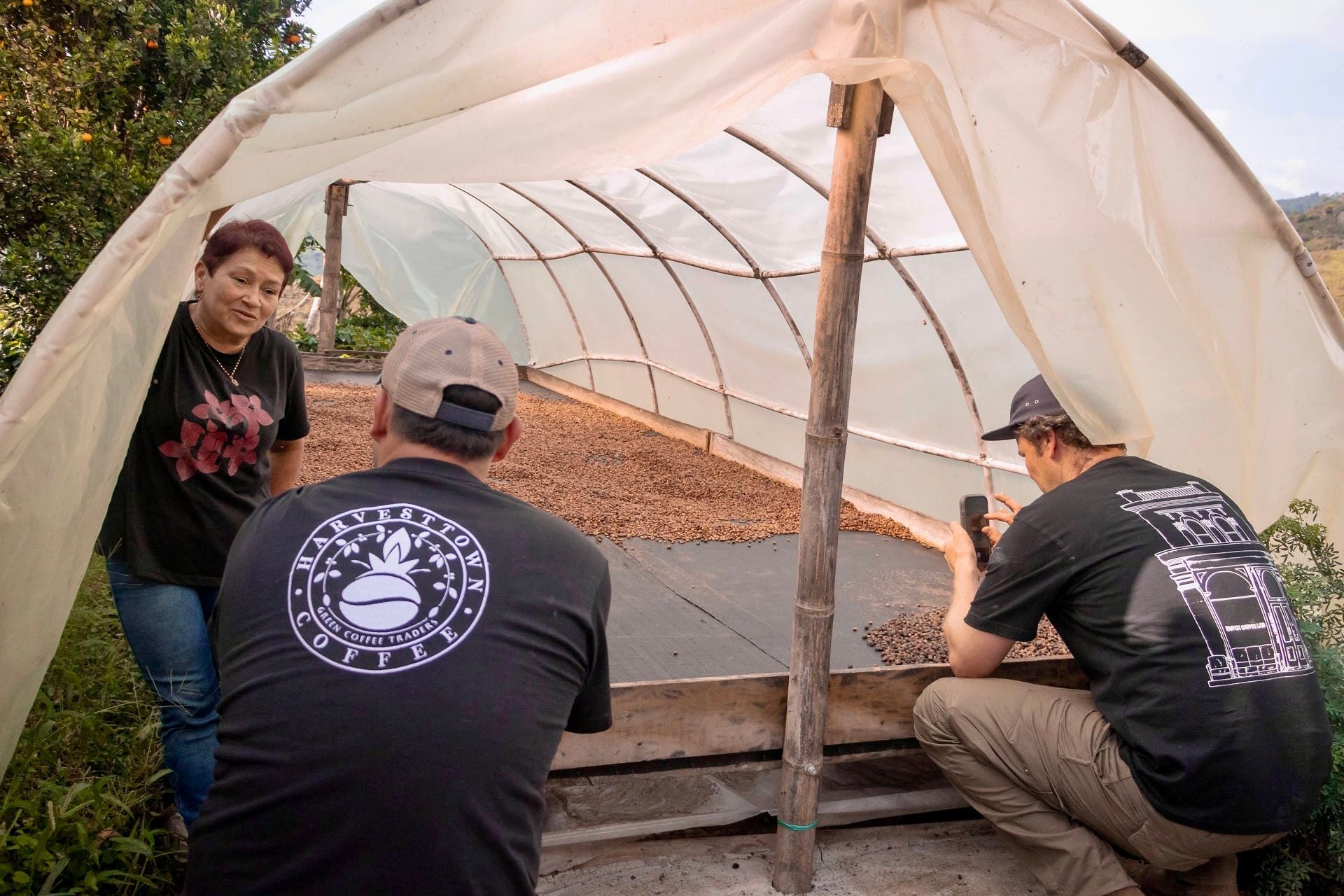 COLOMBIA - CHAPOLERAS – Natural Process - Microlot - SINGLE ORIGIN