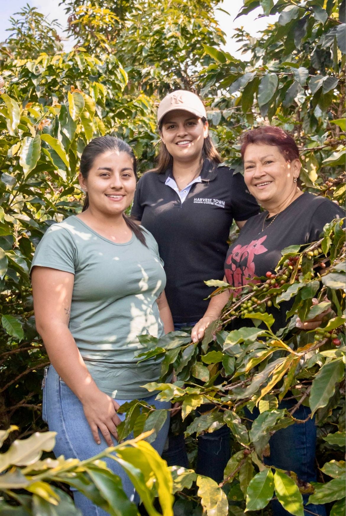 COLOMBIA - CHAPOLERAS – Natural Process - Microlot - SINGLE ORIGIN