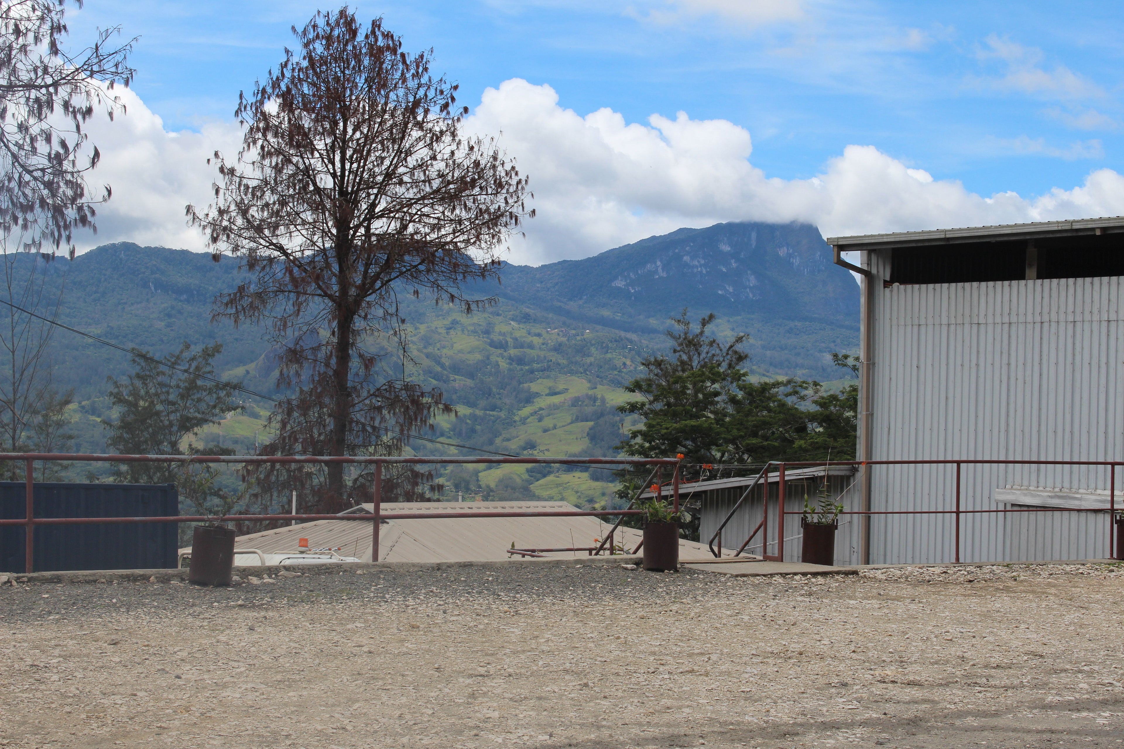 PNG - Kongo Simbu Province - washed